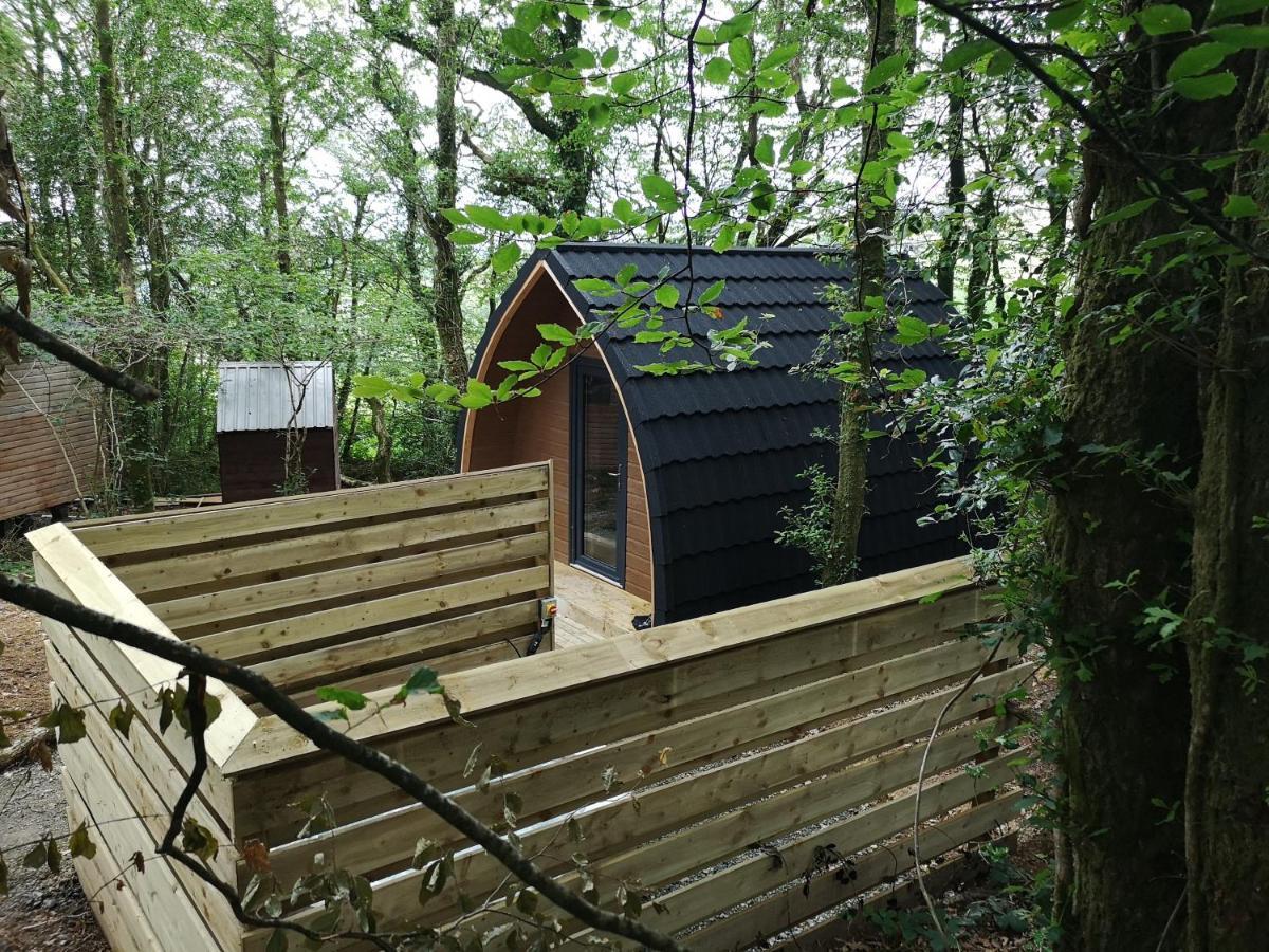 The Pod-Hot Tub-Woodland Lodges-St Clears-Carmarthen Exterior photo